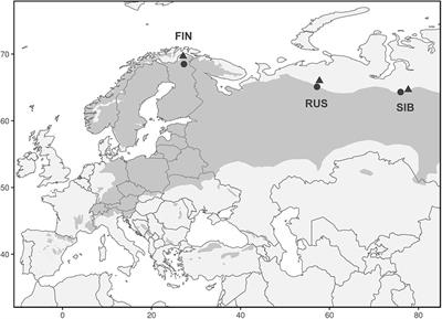 Climate Regimes Override Micro-Site Effects on the Summer Temperature Signal of Scots Pine at Its Northern Distribution Limits